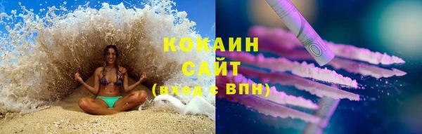 гашик Михайловск
