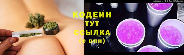 гашик Михайловск