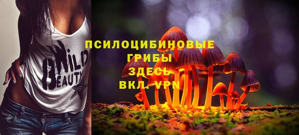 молекула духа Михайловка