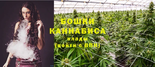 молекула духа Михайловка