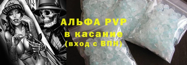 гашик Михайловск