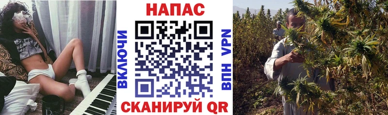Марихуана MAZAR hydra ссылка Тихорецк